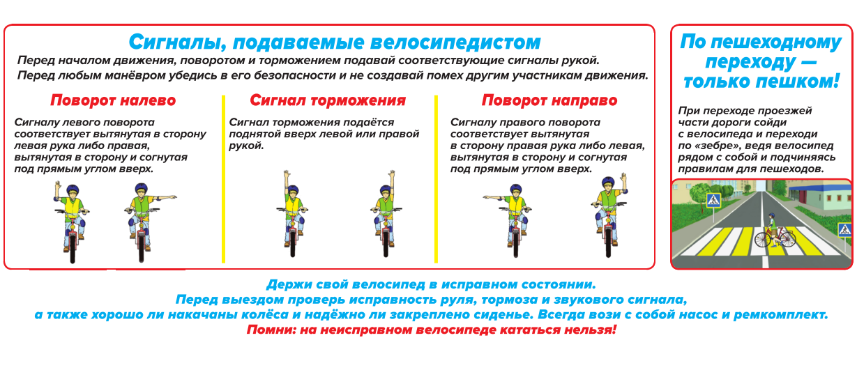 сигналы вело